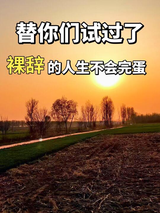 替你们试过了，裸辞的人生不会完蛋