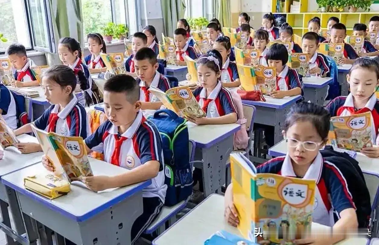 新学期新课本！全国中小学新教材全面“上新”，三大主科变化太大了

本周，全国大中
