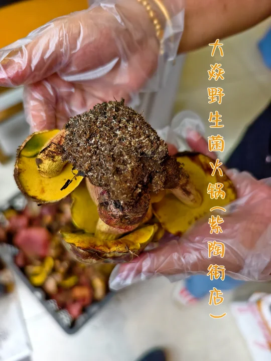 大焱野生菌火锅(紫陶街店)|预制菜含量为零