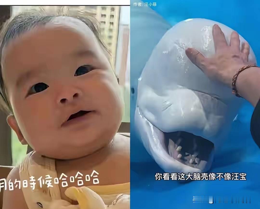 太暖心！
都说父爱藏在细节里，这话放在小菲身上再贴切不过。

近日奔波广州忙美食