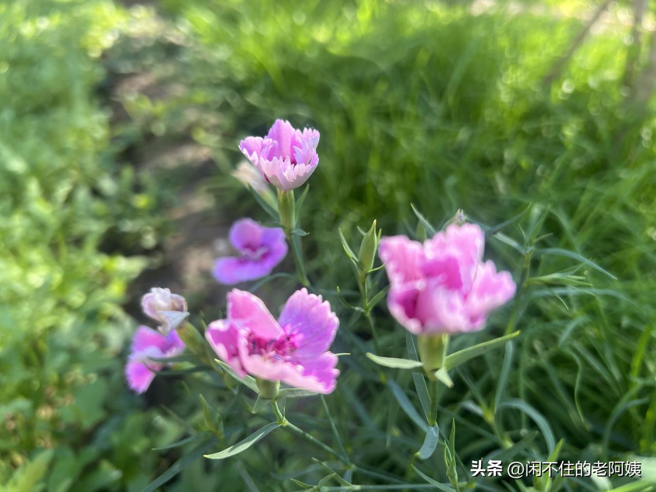 家长听到孩子说被老师打了，千万不要点火就着。一定要冷静，按顺序做以下几件事：
一