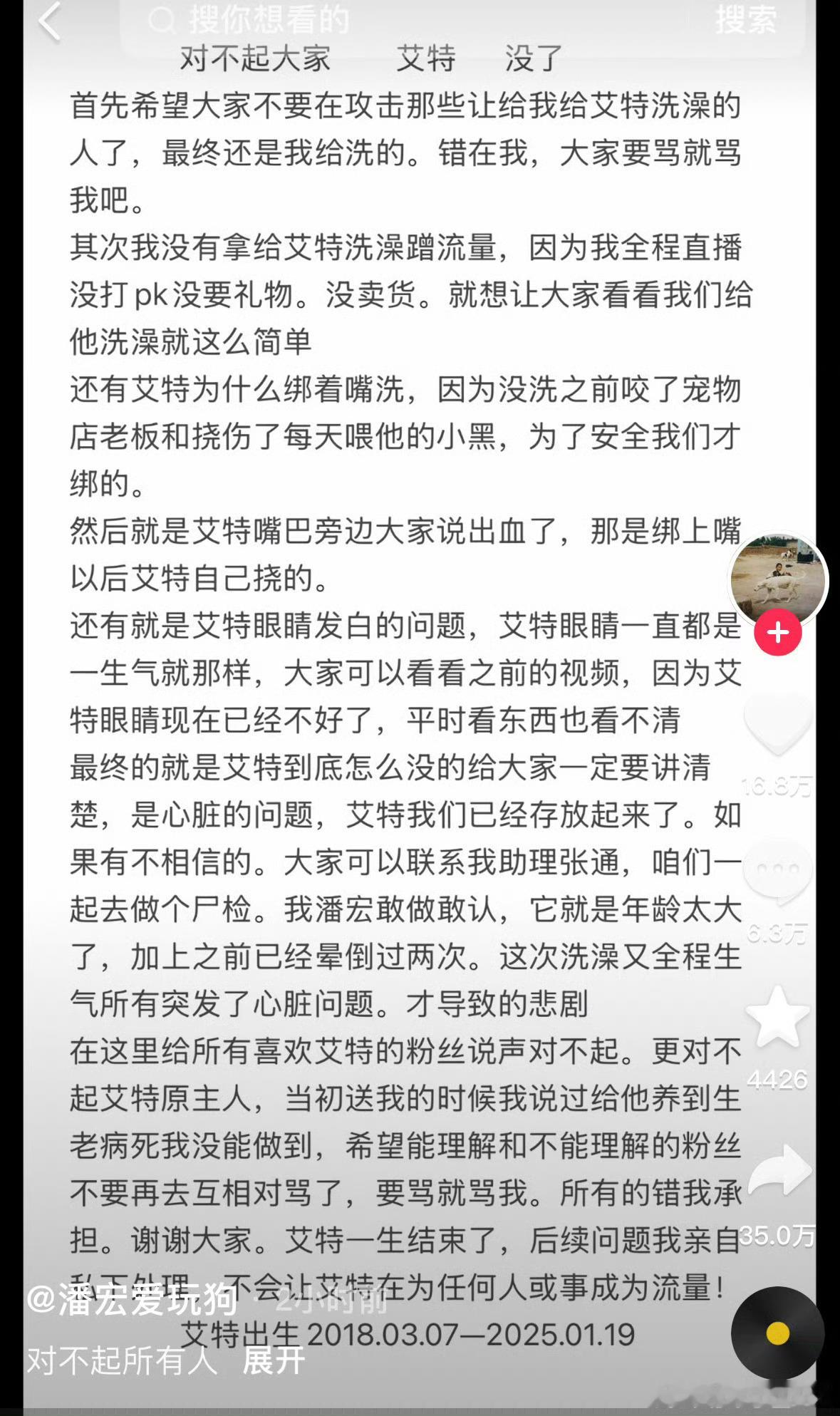 网红小狗艾特去世 对艾特的离去感到深深的悲痛和不舍，回顾了艾特生前带给他们的欢乐