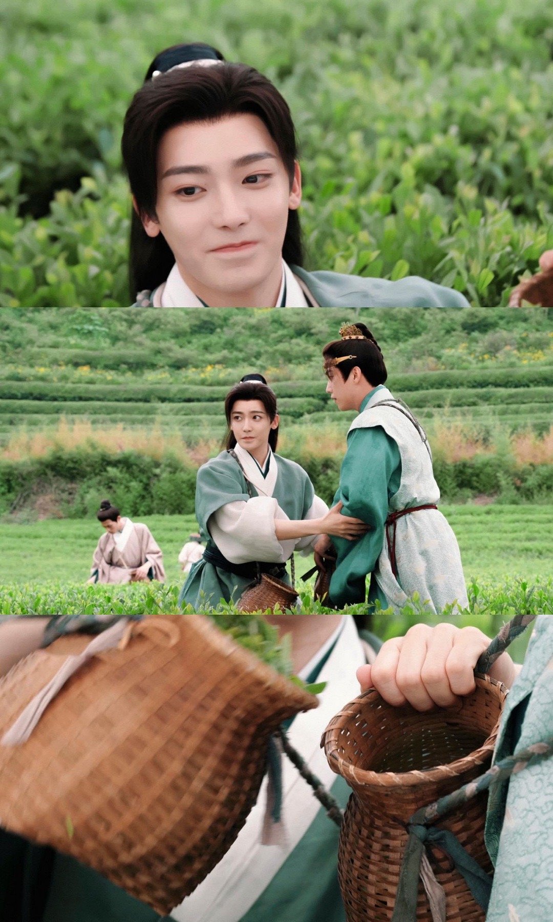 这回真中了玉茗茶骨的蛊了 玉茗茶骨害人不浅！打工人不敢在办公室摸鱼追剧，怕突然发