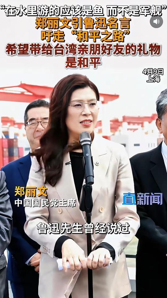 郑丽文访问大陆有十层重要意义！让中国符号，更加深入人心，郑丽文访问大陆，就是给台