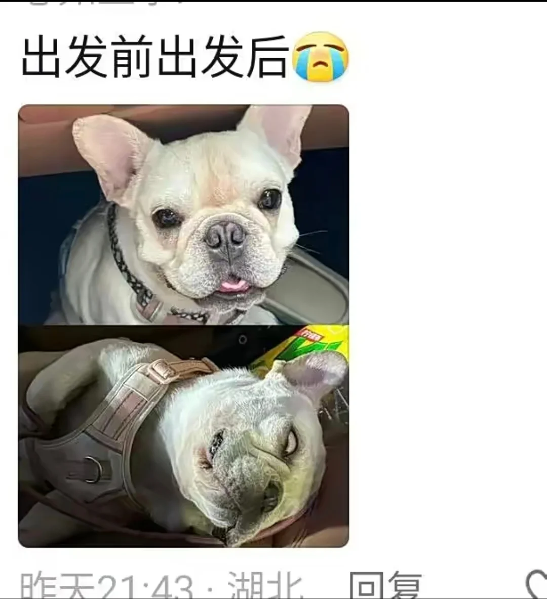 长途汽车谁顶得住啊，笑容逐渐消失