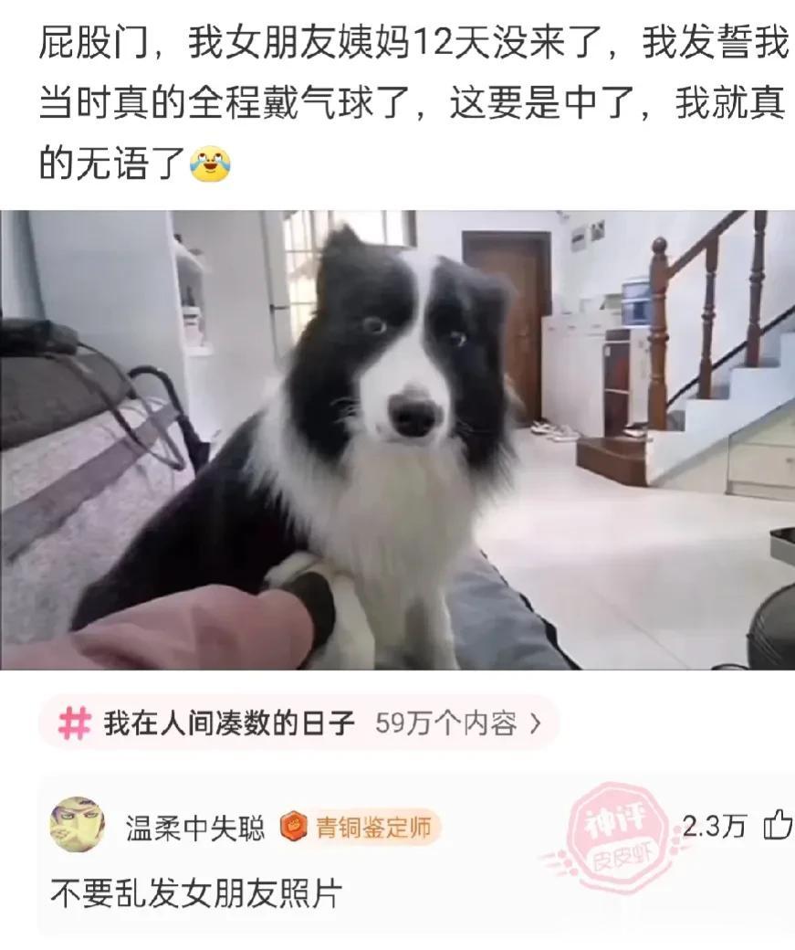 这位女朋友更是人模狗样
