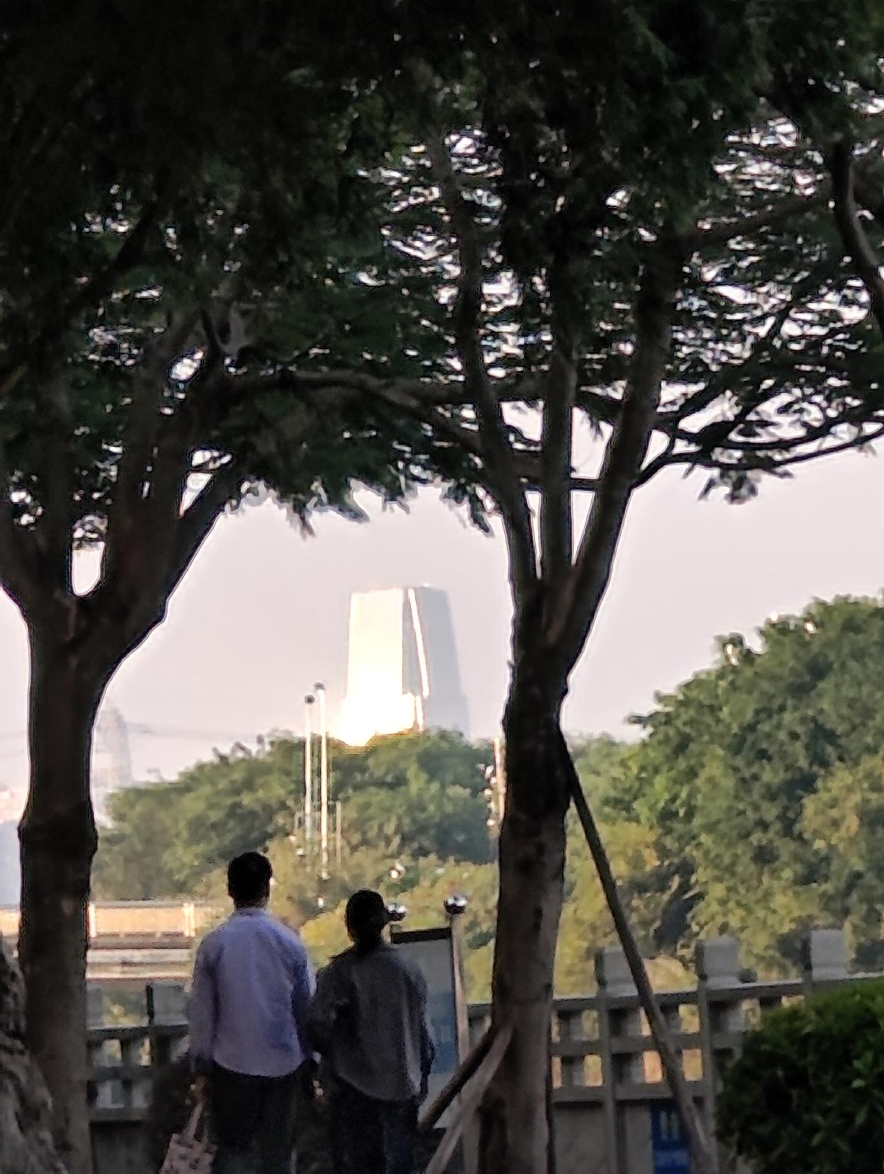 周末在中山市东凤镇和穗湿地公园游玩，居然能望到顺德容桂的海骏达广场大楼？！

周