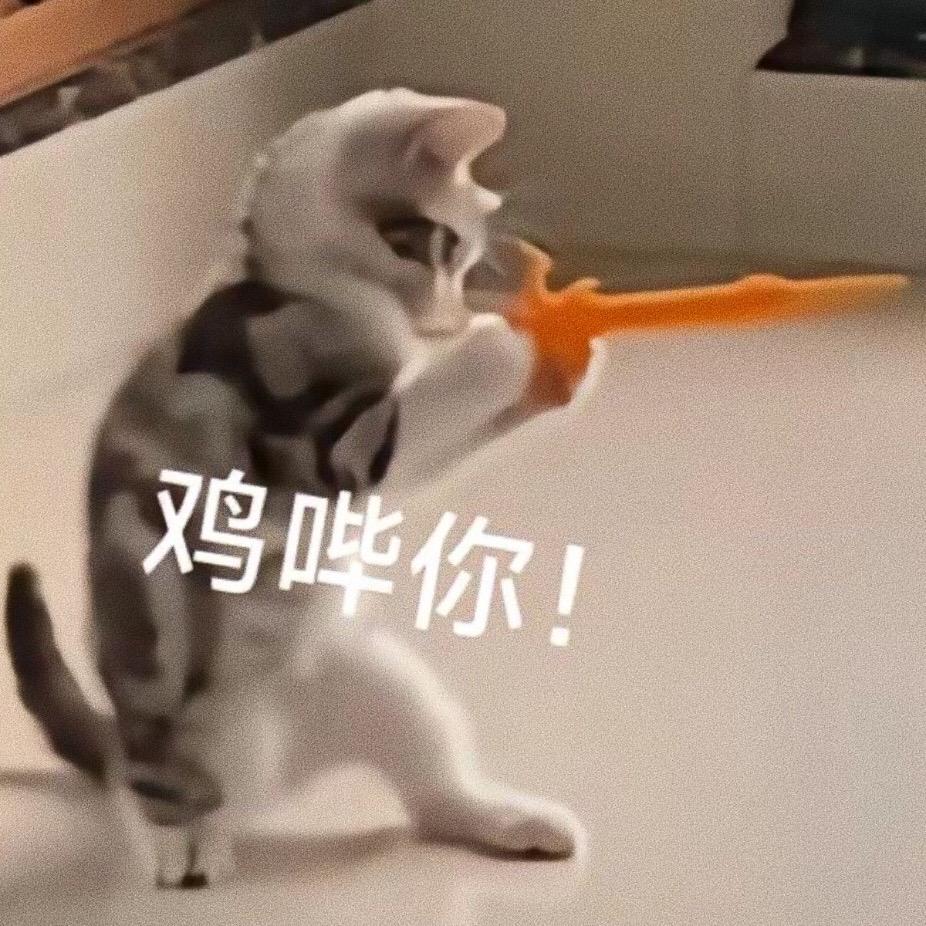 分享一些奇奇怪怪可可爱爱的表情包。表情包