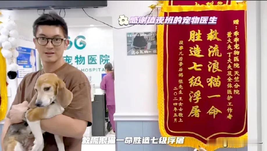 #霍思燕杜江收养实验犬#霍思燕看着“救流浪猫一命，胜造七级浮屠”的锦旗，高兴的开
