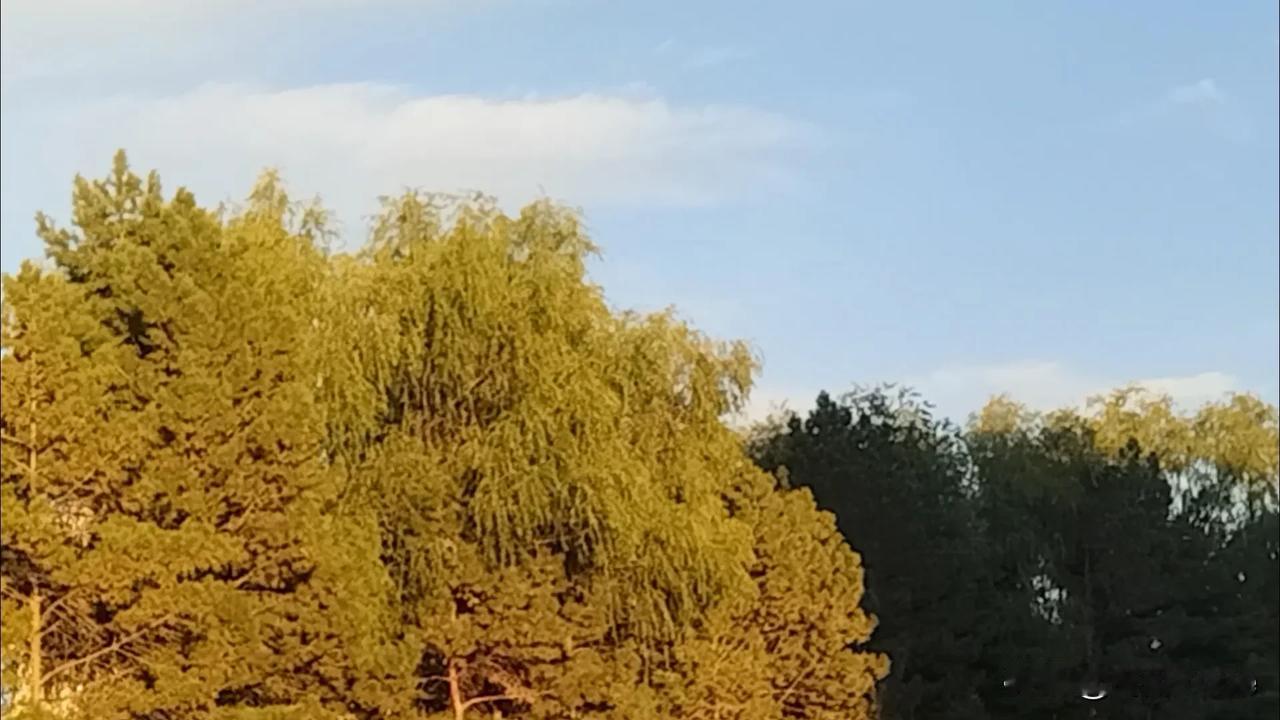 
心疼你了，季节变化，注意身体[呲牙]