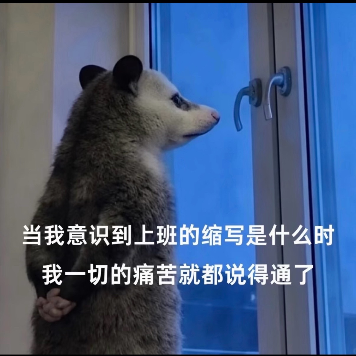 到底是谁在折磨一个可怜的小女孩大早上一来早饭都没吃三个扎手指头 还都是三个项目一