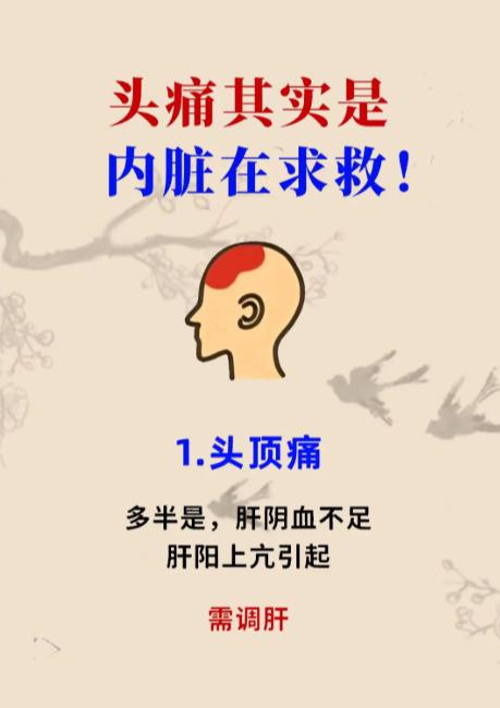 头痛并非小事，其实是脏腑在发出提醒！