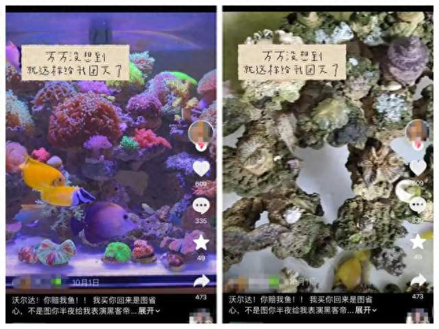 一觉醒来整缸“团灭”！一块智能插排坑哭大批鱼友