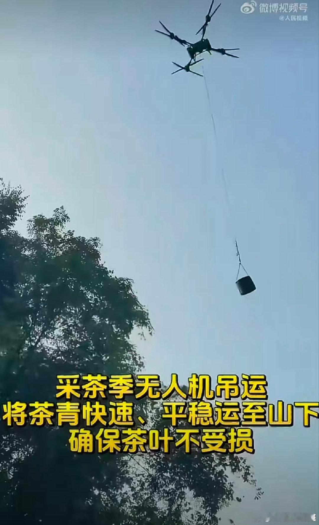 武夷山运茶已经用上无人机了无人机平稳吊运茶青，大幅减少转运挤压磕碰，更好保留武夷