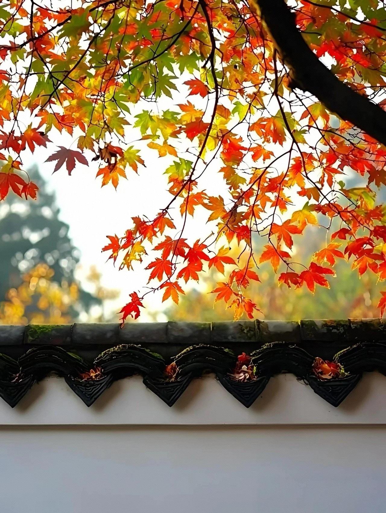 秋天也有秋天的味道！