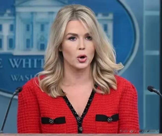 美国考虑动用美国军队！

1月6日，美国白宫新闻秘书莱维特表示，美国总统特朗普及