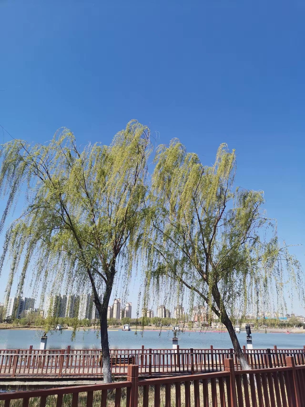 一个情感专家说：
“婚外情最好的结局是，在另一半还不知情的情况下，赶紧断掉关系，
