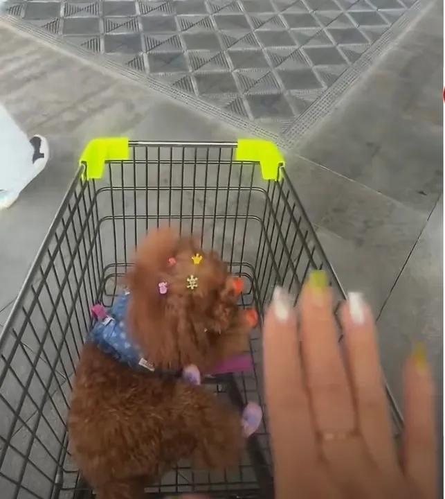 终于弄明白了
为什么这次大家几乎一边倒支持胖东来
事情是这样的。女子推着购物车，