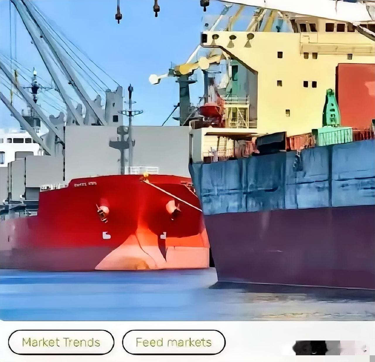 解释不清了！当一船满载6.9万吨巴西大豆的货轮靠泊江苏泰州码头时，谁也没想到，大