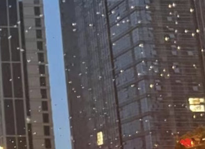 每日一善  阳光信用 每日一善，阳光心韵。七夕星河璀璨，心存善意，常怀温柔，愿世