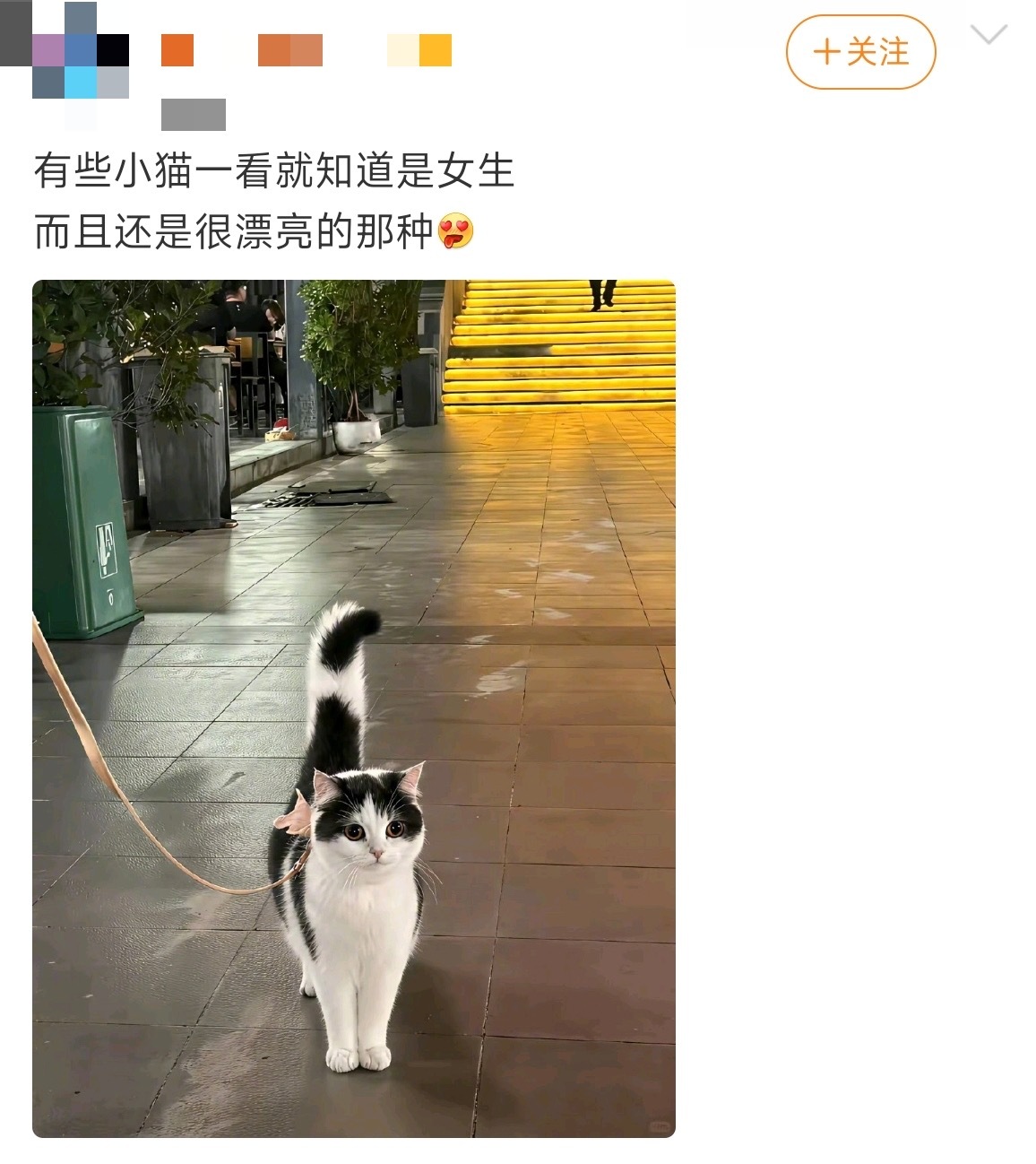 ai也咯噔 