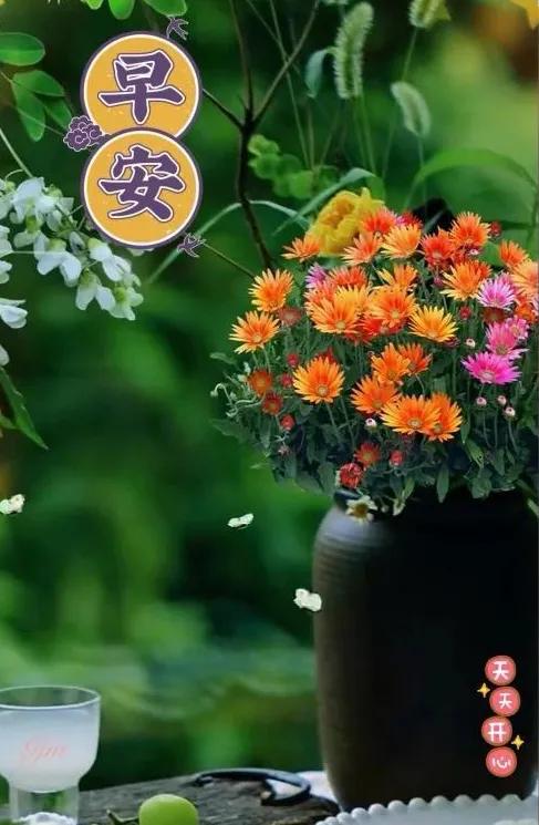 對生活要充滿信心，
對朋友要必須真誠，
對親人一定要愛護，
對緣分必須要珍惜。