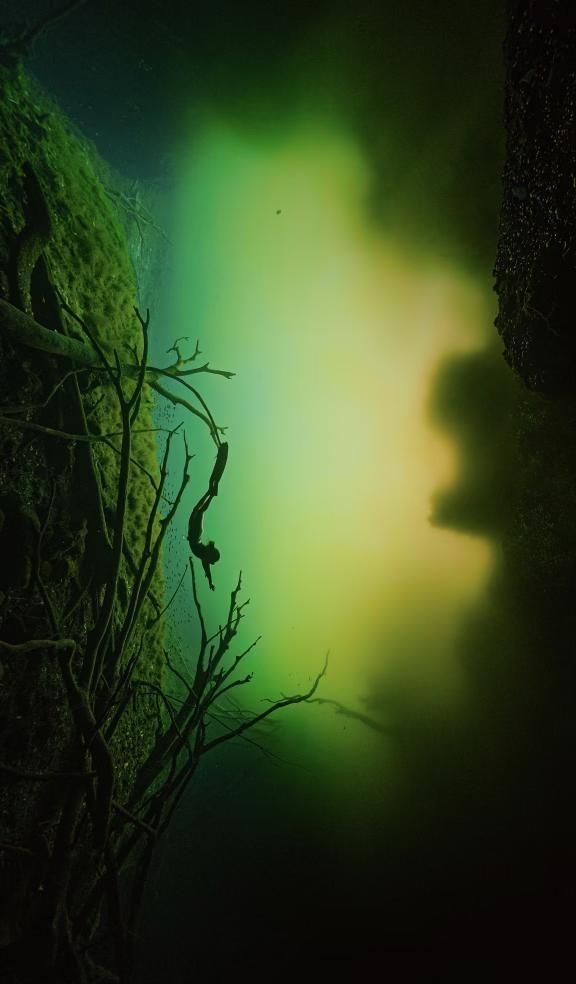 墨西哥坎昆 中文女水摄 600🔪一洞任选
最多4人 洞任选 600🔪 包含门