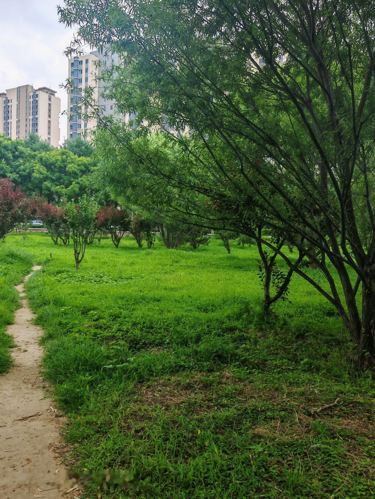 通州区梨园南街便民服务中心南风景优美