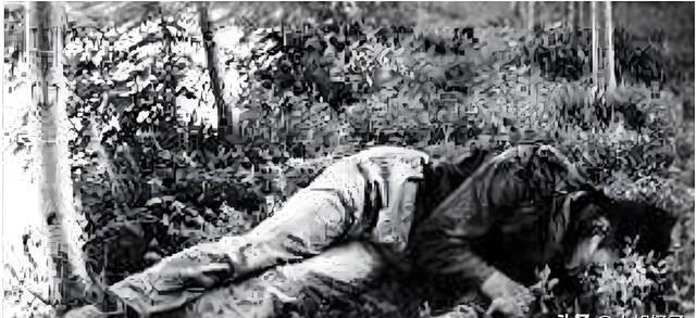 1983年，“悍匪”王宗坊被击毙后蜷缩在地上，已经失去了生命体征，他的身体已经瘦