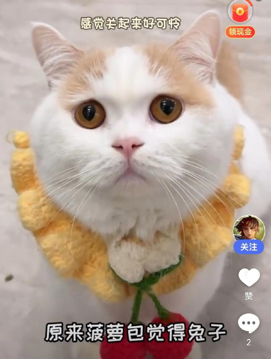 如果把它打包寄给特朗普作为礼物，他会咋说呢？是谢谢赠送，还是勃然大怒，立即退货呢