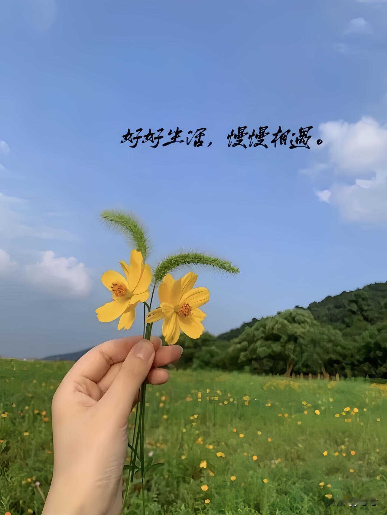 人这一辈子
有人说：
金无足赤，
人无完人，
换位思考一下……

你走路时，讨厌