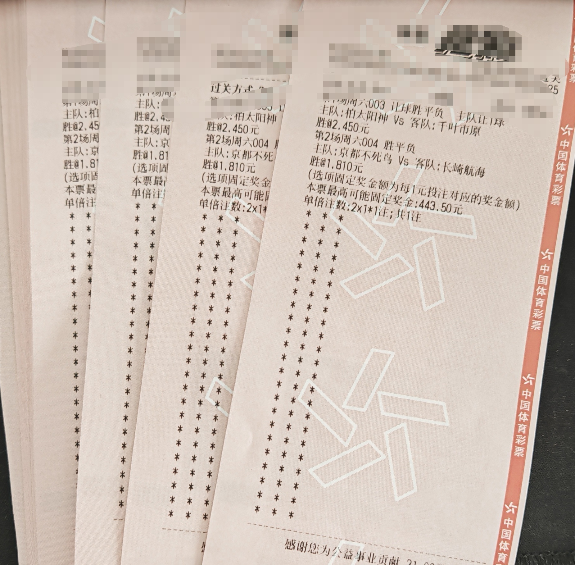 京都不死鸟迎战长崎航海，保级生死战谁能笑到最后？日职003柏太阳神 VS 千叶市