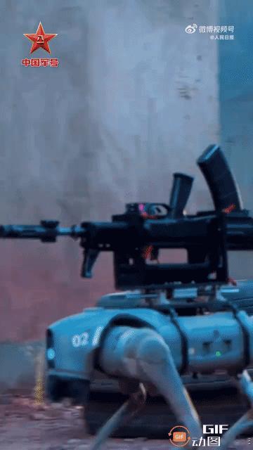 这是什么枪！？

这是什么狗？！

从红军草鞋踏遍千山到如今……


↓↓↓
机