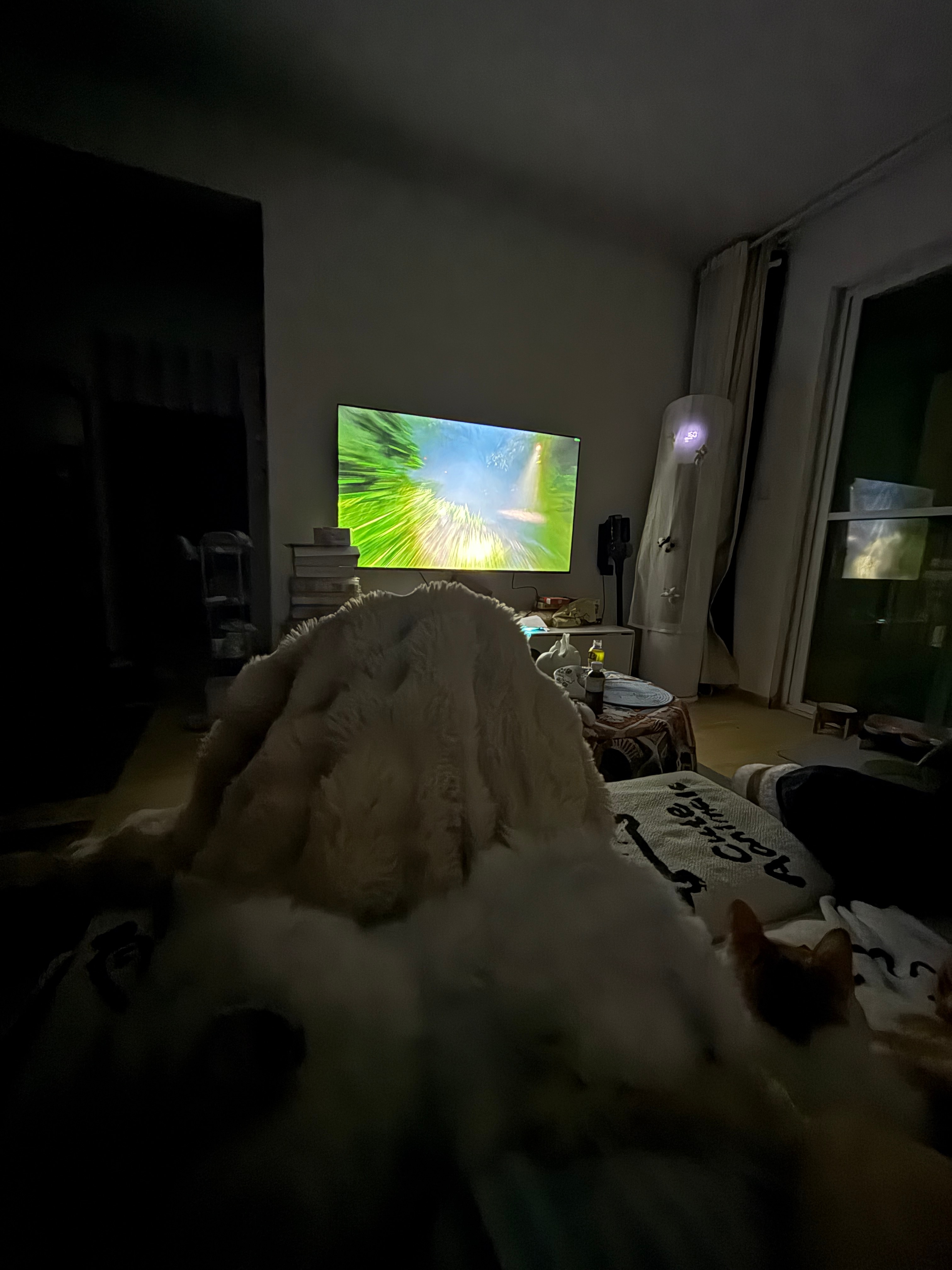 陪一个魔童玩恐怖游戏 这个魔童不害怕我害怕。 