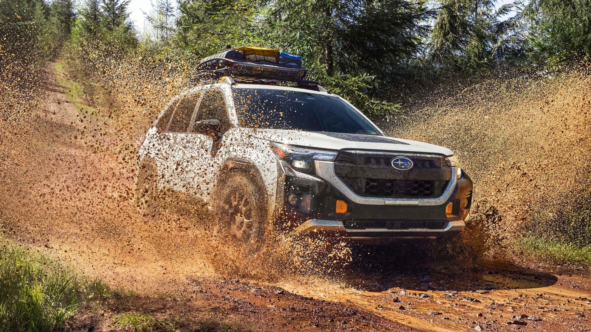 2026 Subaru Forester ​​​
