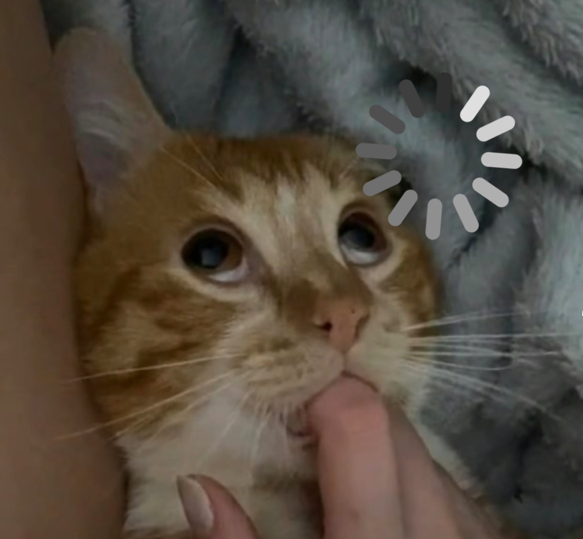 超好用的表情包来咯！！！ ​​​