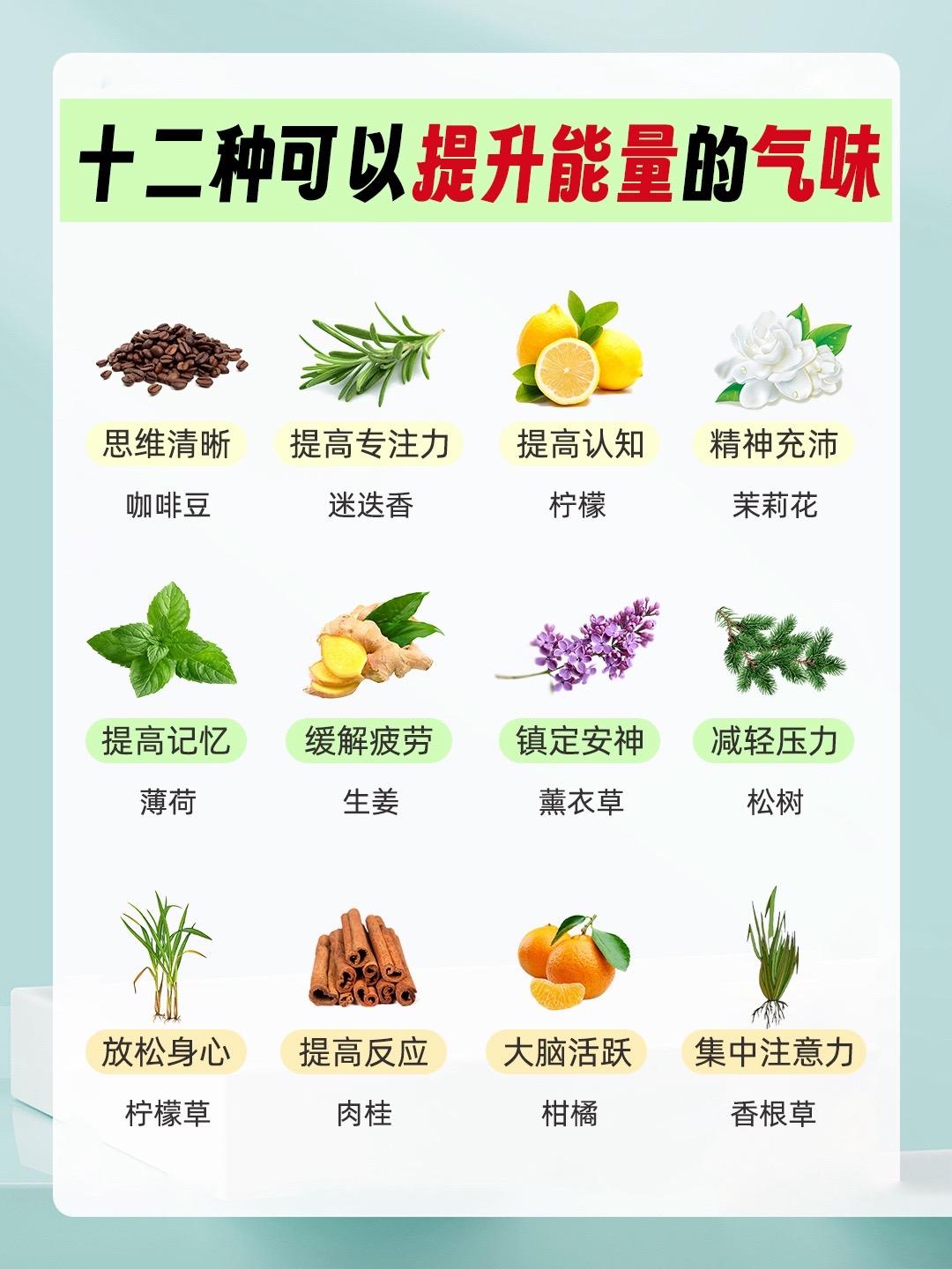 这12种香气可以提升能量哦～
