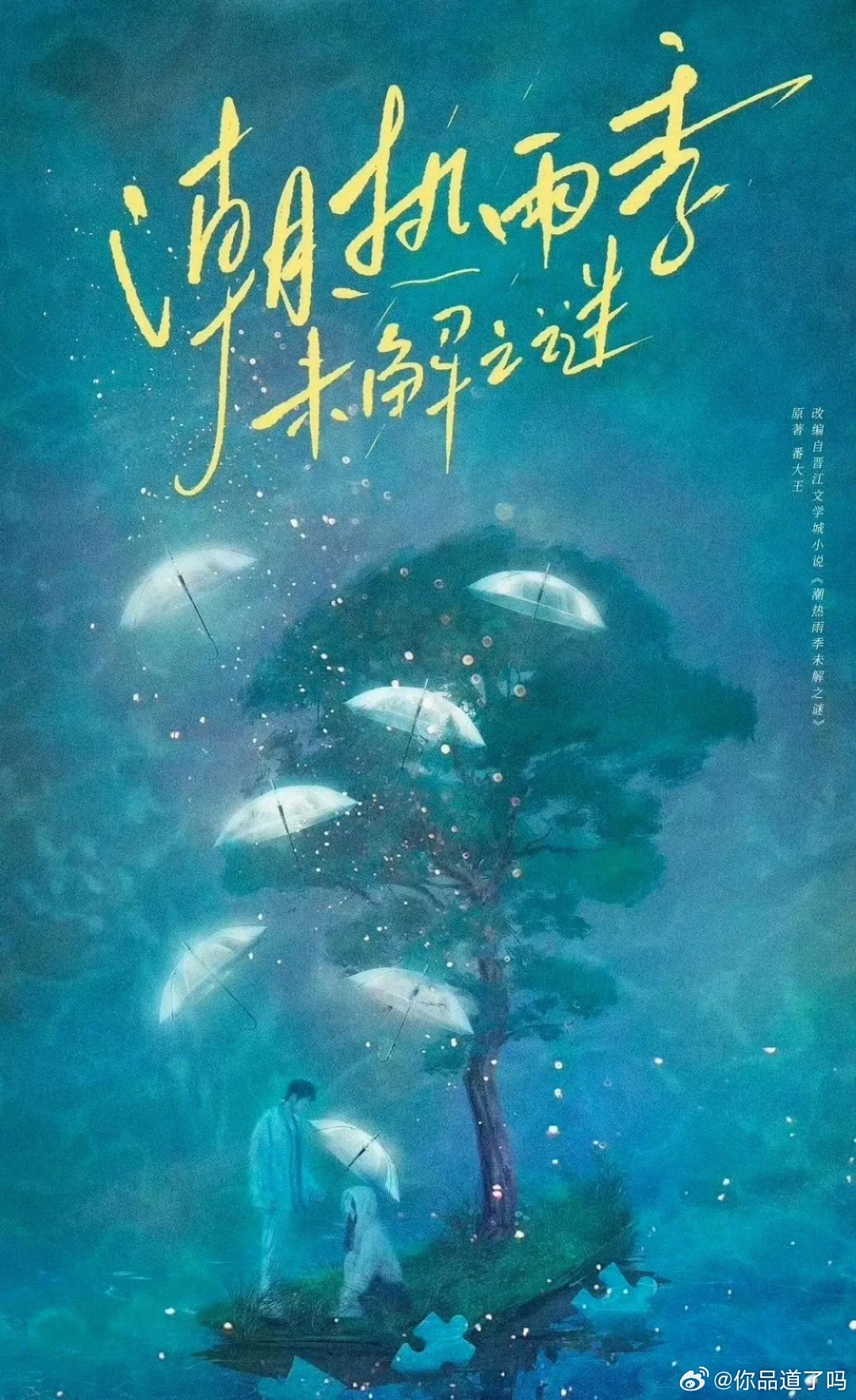 《潮热雨季未解之谜》由哇唧唧哇出品。该剧已官宣开机，将由周也、胡先煦搭档出演，二
