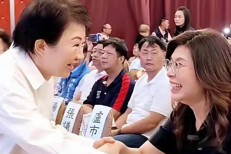郑丽文当这个党主席遭老罪了！反观卢秀燕太有心眼了？
这十个月郑丽文遭老罪了，民进