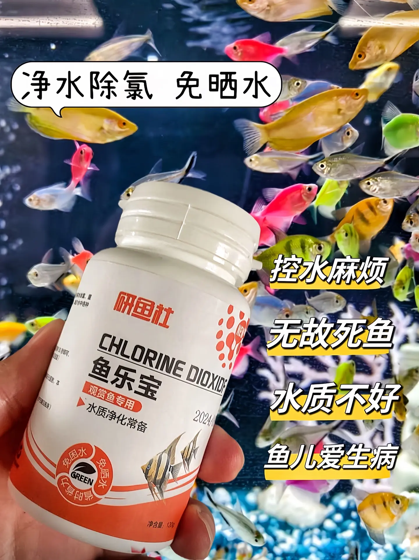 哥哥们，自来水养鱼再也不用担心氯气问题了，也不用麻烦的去困水，一瓶鱼乐...