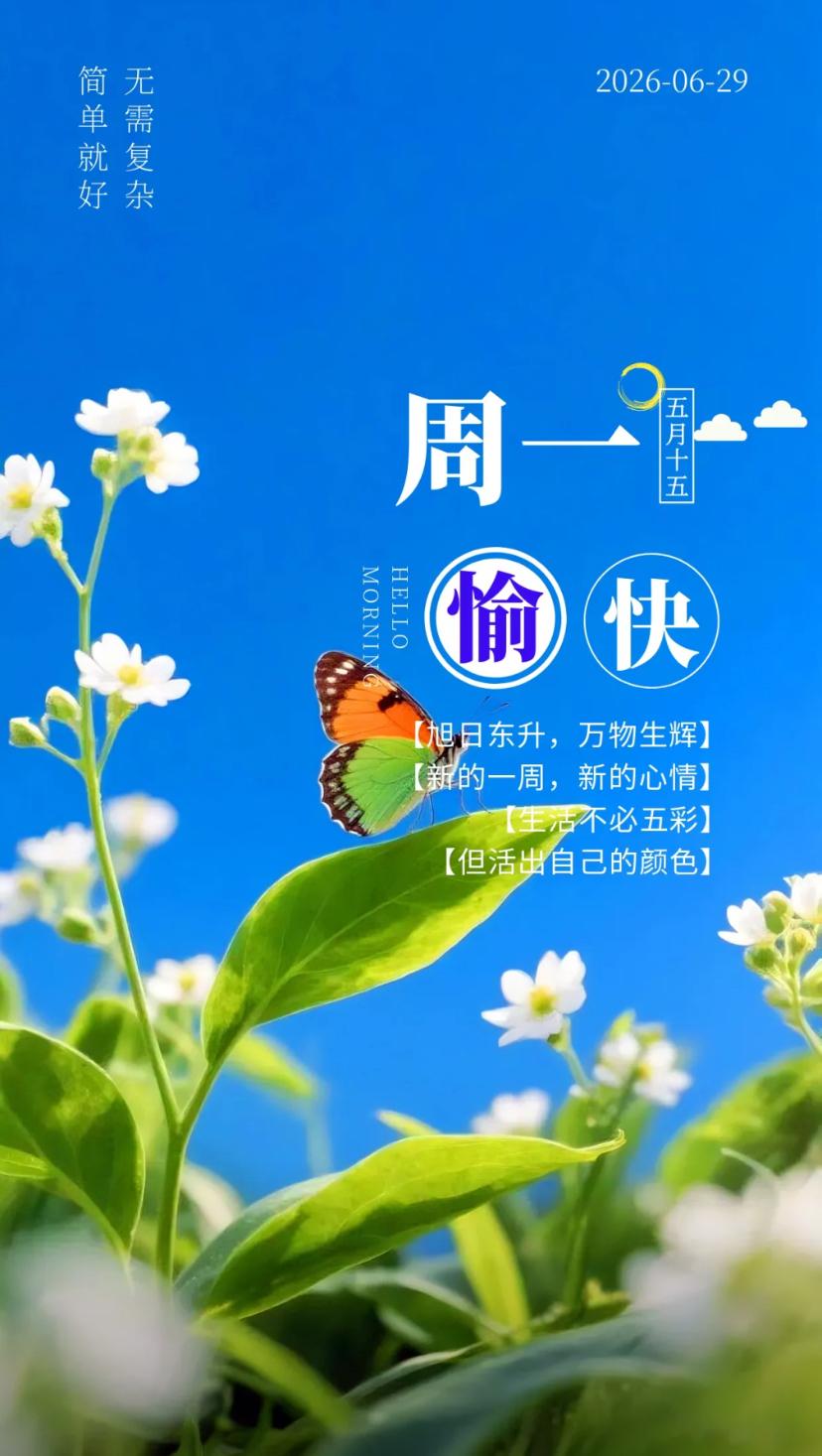 夏晨问安，时光浅浅庭院静，岁月静好喜乐长。2026./06.29.
[微风][玫