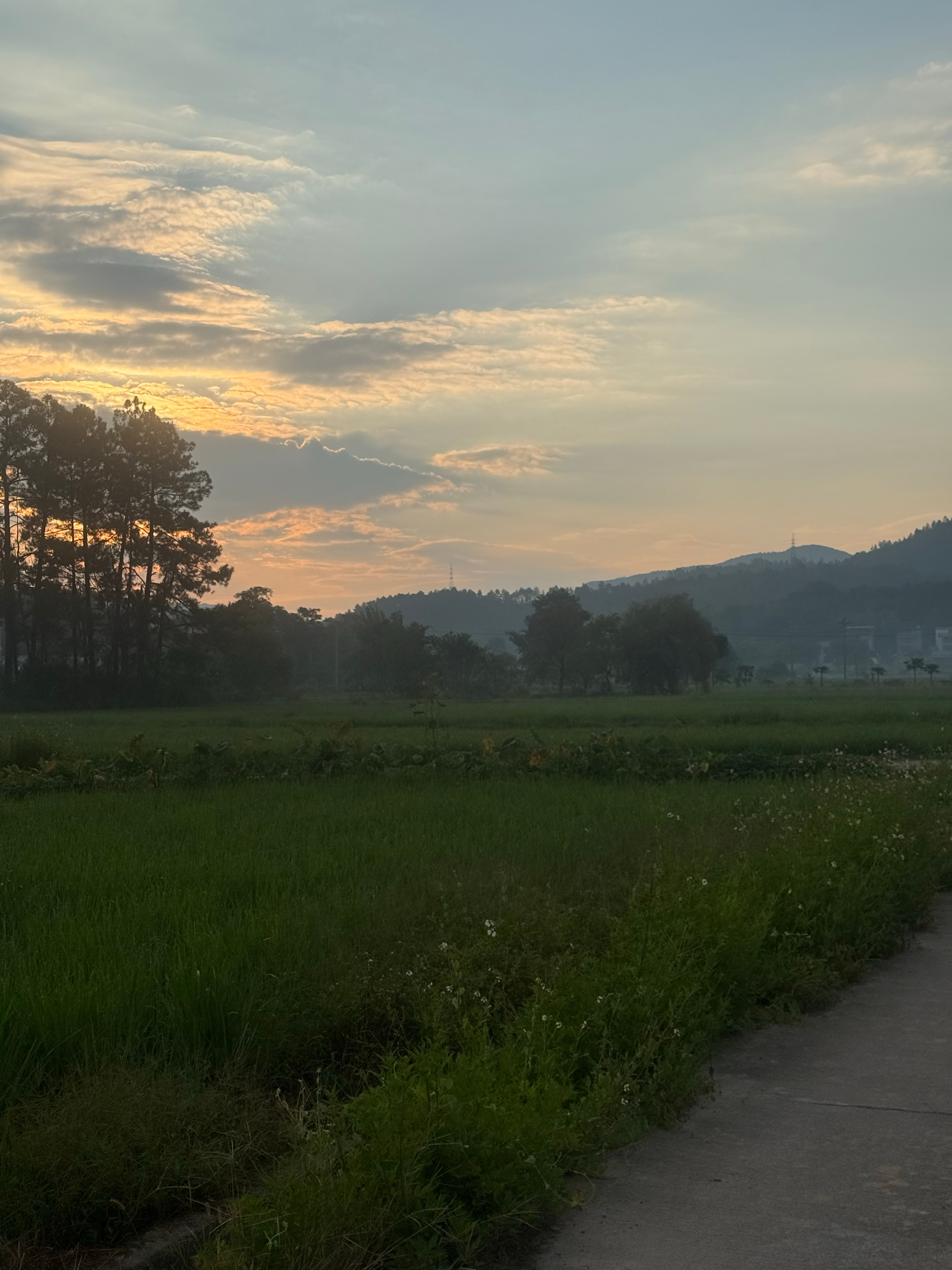 赣州早安 生活的意义，藏在一次次认真里。认真看一场风景，认真陪伴家人，认真做好眼