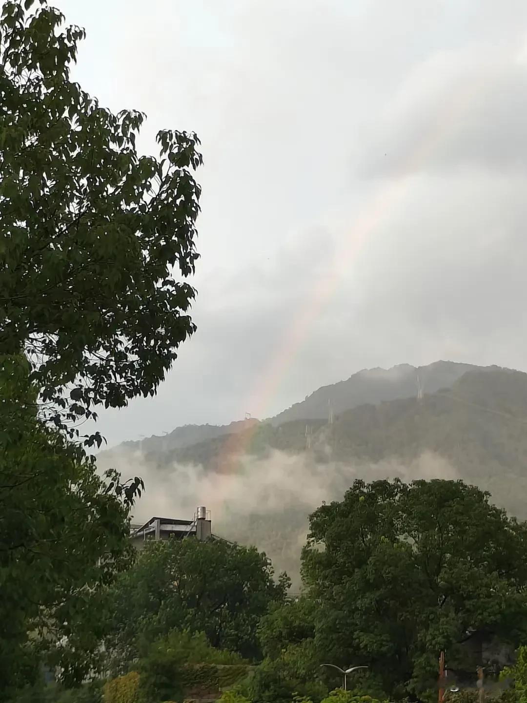 #夏日生活打卡季#
夏日雨后彩虹