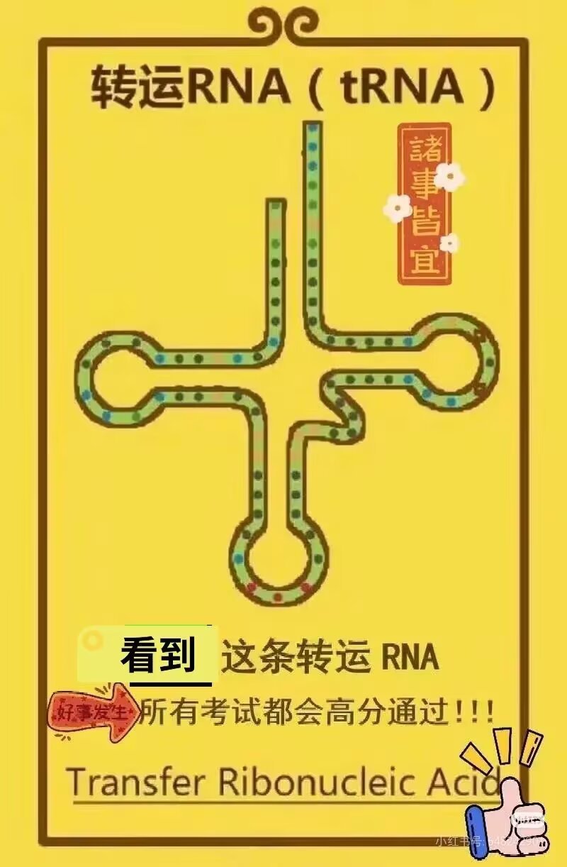 9941接好运来 