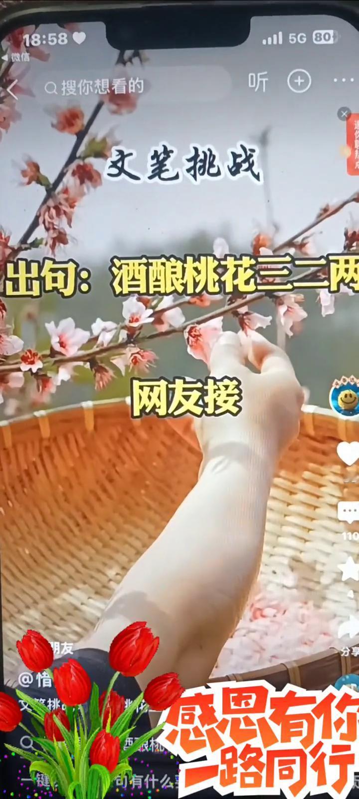 文笔挑战：酒酿桃花三二两，网友接。
一键发评接句有什么要求吗？