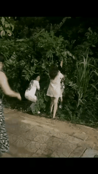 一看就知道娘们几个是城里人！来到乡下见到水果就抢！