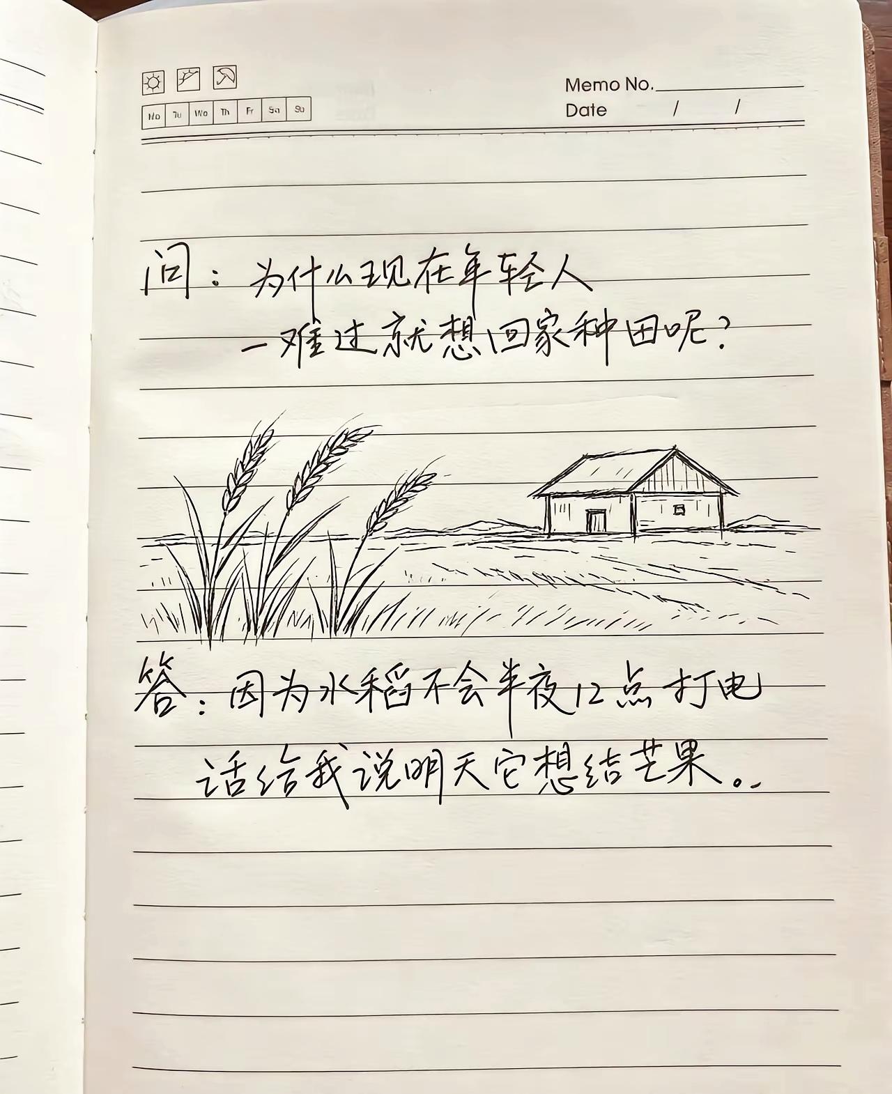 年轻人幻想回乡种田，贪图的从来不是农活，而是没有随时待命的焦虑

打工人共鸣 当