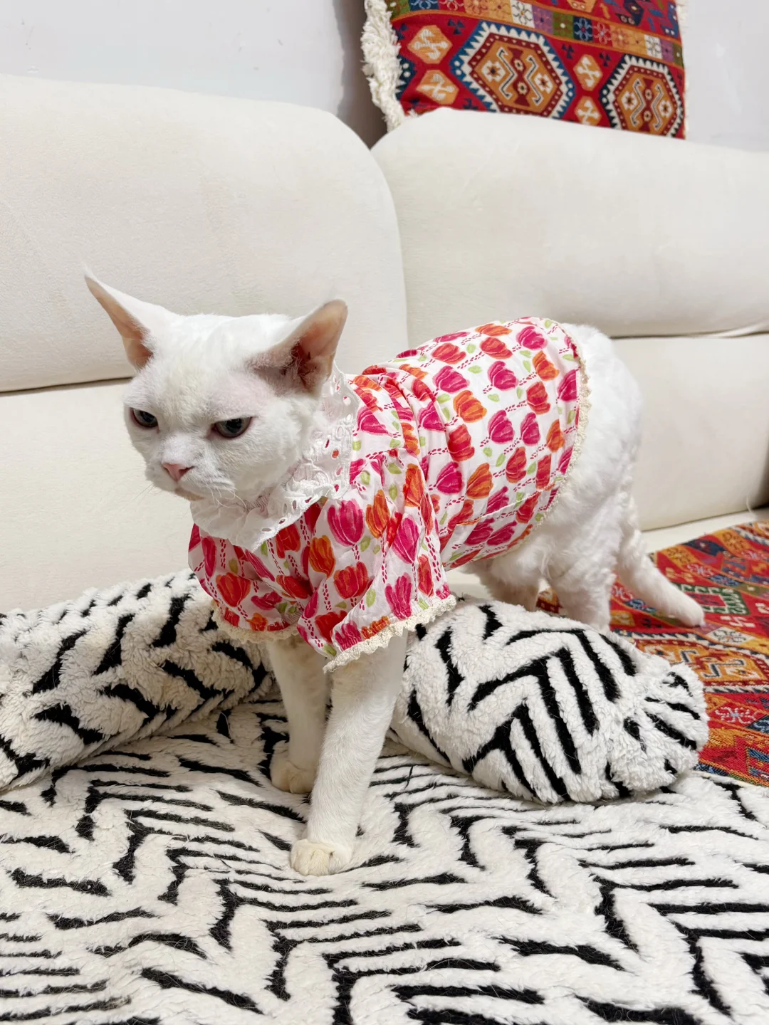 这么可爱一定是男孩子