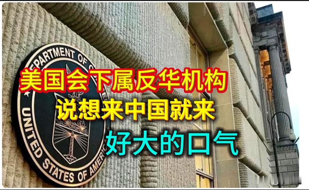 美反华机构：以后我们每年都要去中国，谁给你的胆，你想来就来？
——好大的口气！