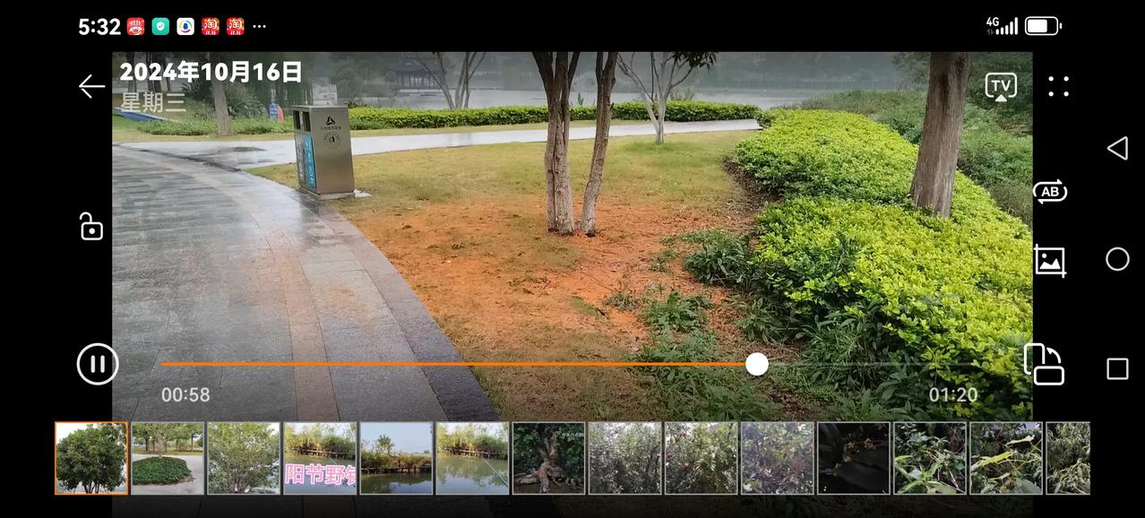 #上联：秋云淡淡卷轻纱，诚邀下联#
秋云淡淡卷轻纱，
花雨浓浓铺厚毯。
